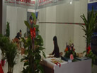 第十二屆水頭石材展
