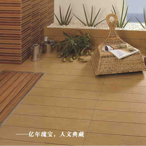 木化石1.jpg