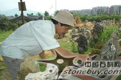 盆景假山 開縣農(nóng)民欲把龜紋石推向世界